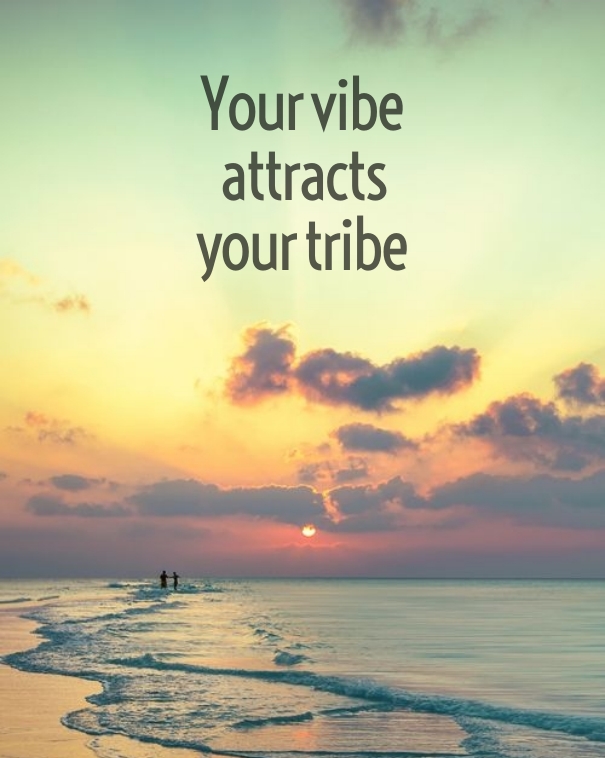 Yourvibeattractsyourtribe